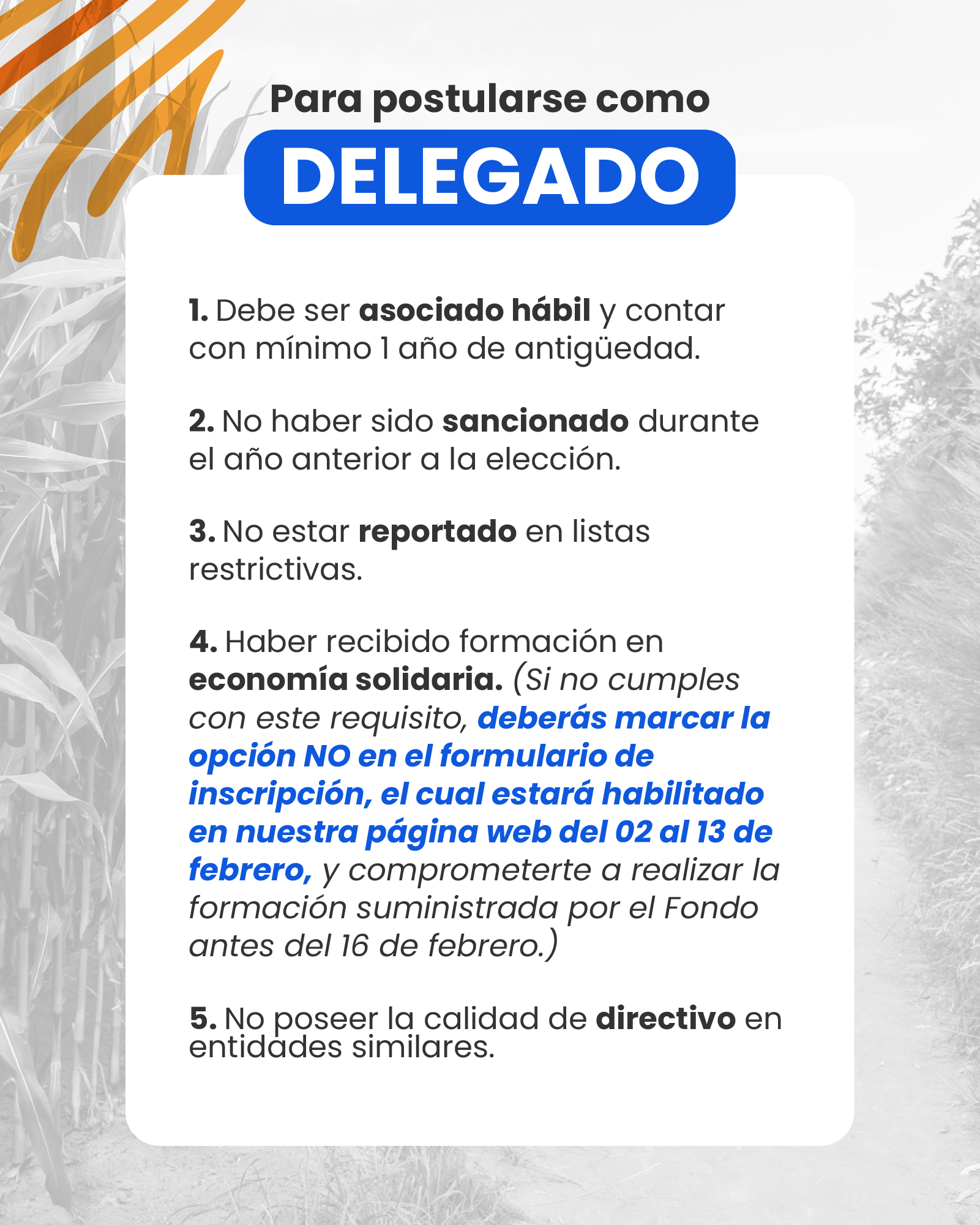 Delegados 2-Fondesarrollo-valle